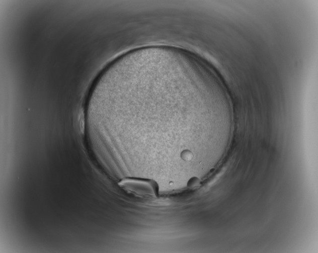 X0000088161509200705291901