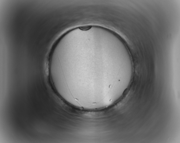 X0000088161510200705291901