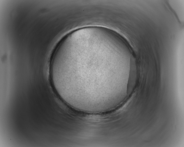 X0000088161511200705291901