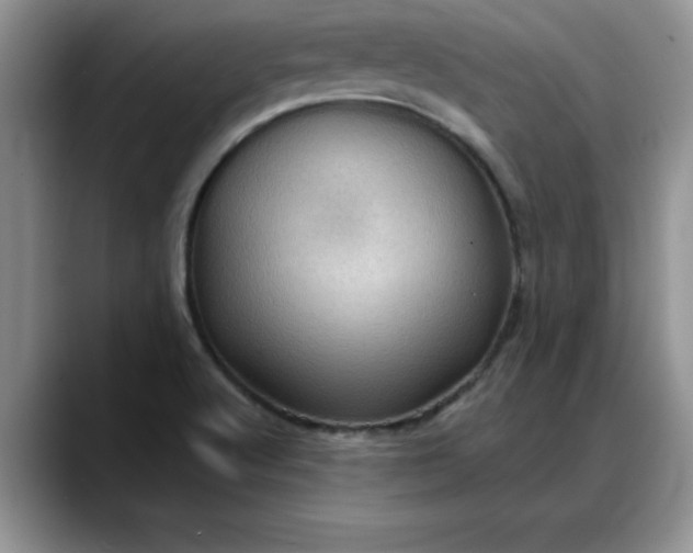 X0000088161512200705291901
