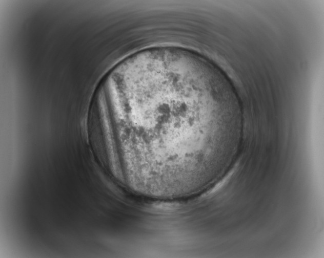 X0000088161513200705291901