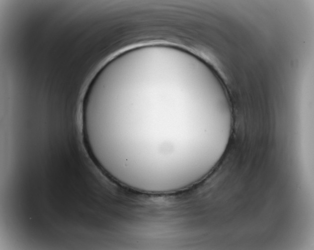 X0000088161516200705291901