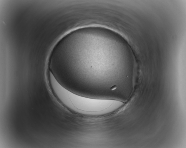 X0000088161518200705291901
