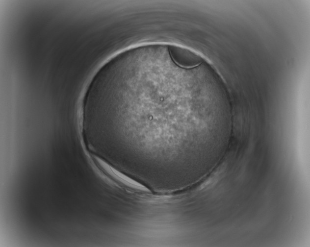 X0000088161519200705291901