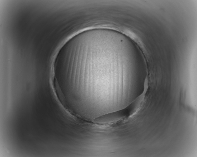 X0000088161520200705291901