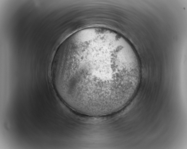 X0000088161521200705291901