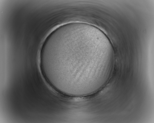 X0000088161523200705291901