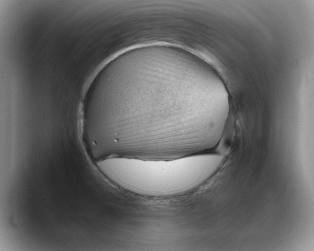 X0000088161524200705291901