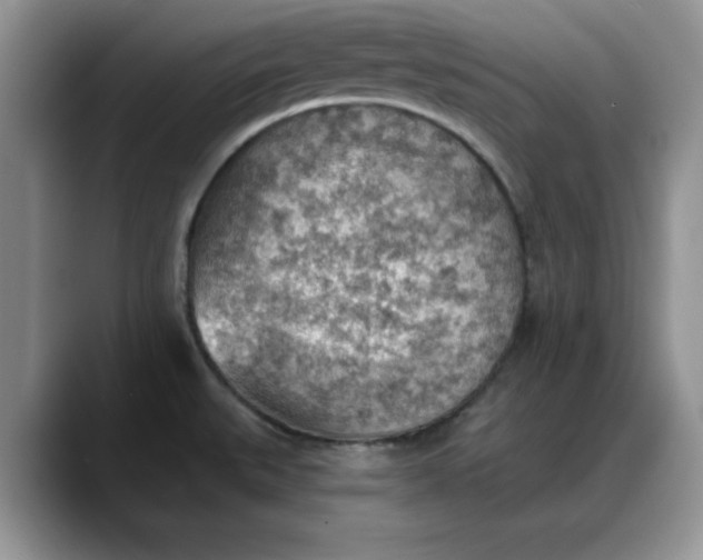 X0000088161527200705291901