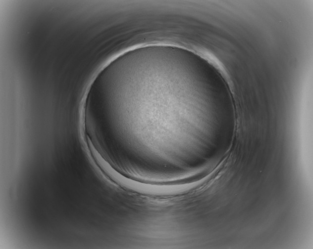 X0000088161528200705291901