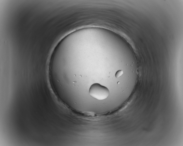 X0000088161530200705291901