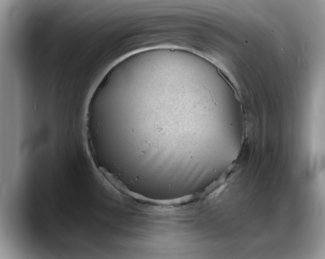 X0000088161532200705291901