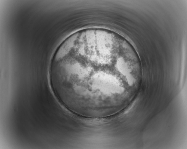 X0000088161533200705291901