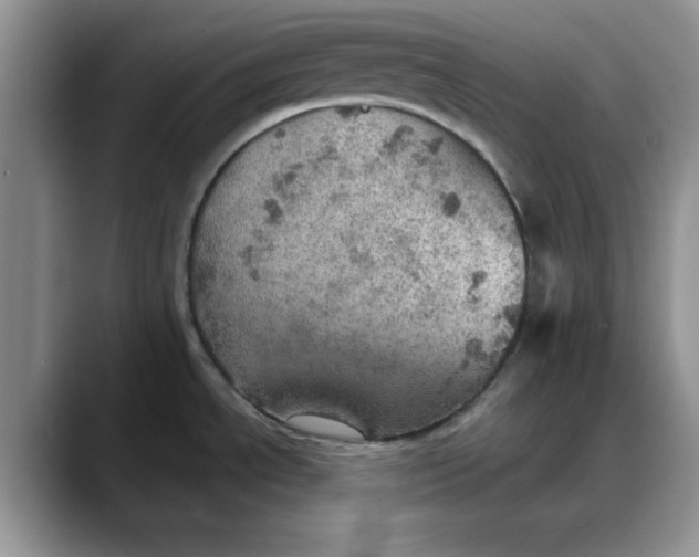 X0000088161534200705291901