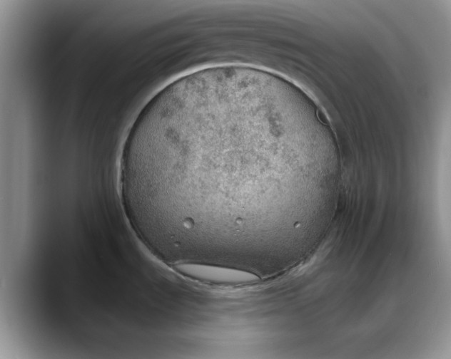 X0000088161535200705291901