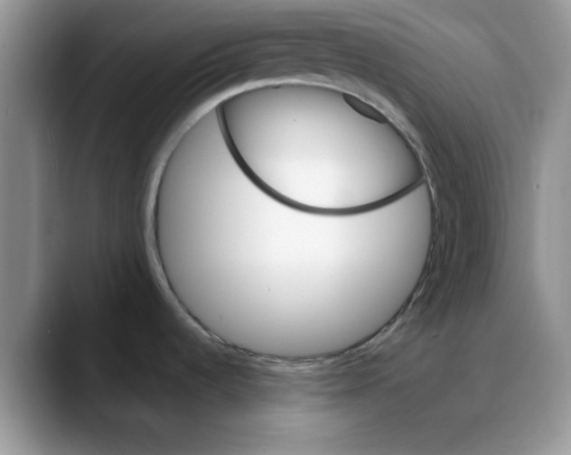 X0000088161536200705291901