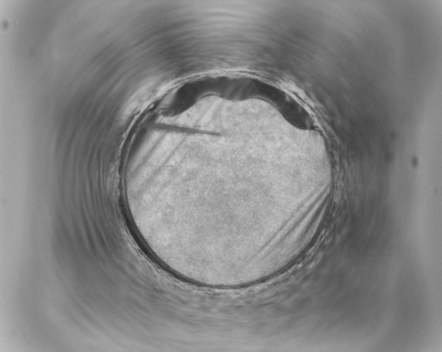 X0000088160002200706051103