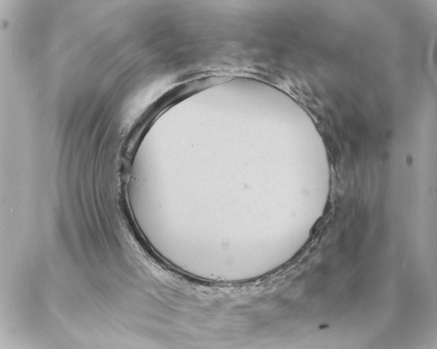 X0000088160005200706051103