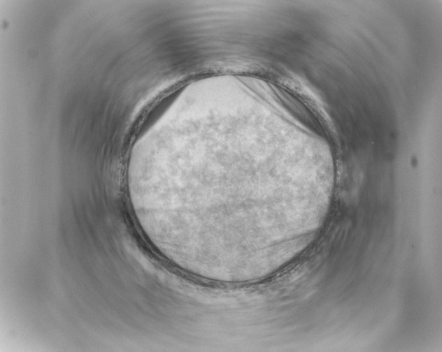 X0000088160012200706051103