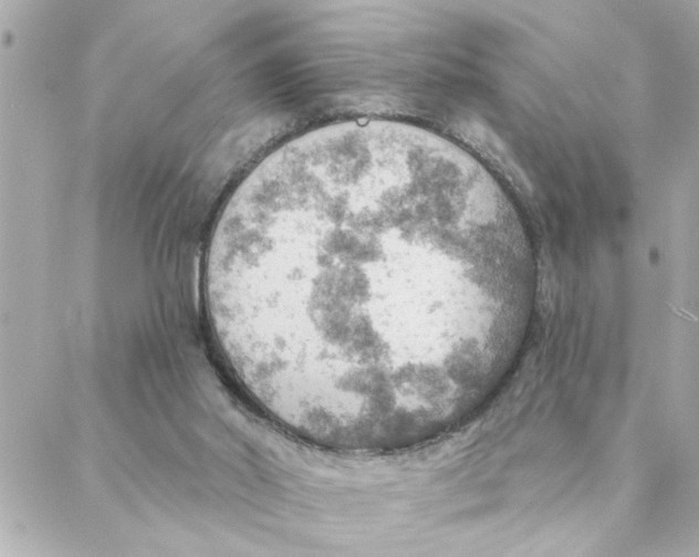 X0000088160014200706051103