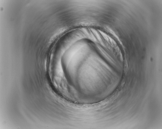 X0000088160019200706051103