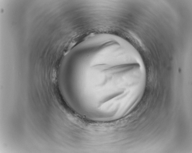 X0000088160025200706051103