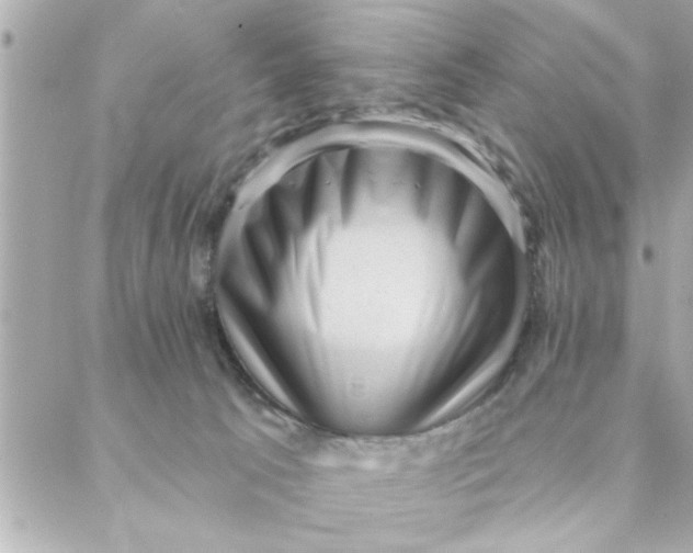 X0000088160033200706051102