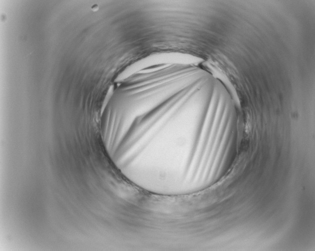 X0000088160045200706051102