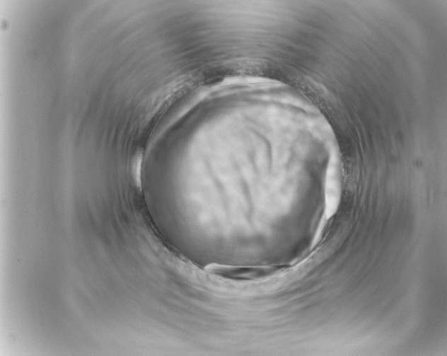 X0000088160047200706051102