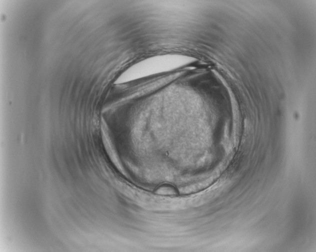 X0000088160048200706051102