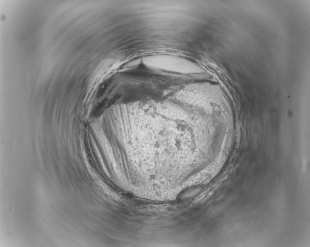 X0000088160049200706051101