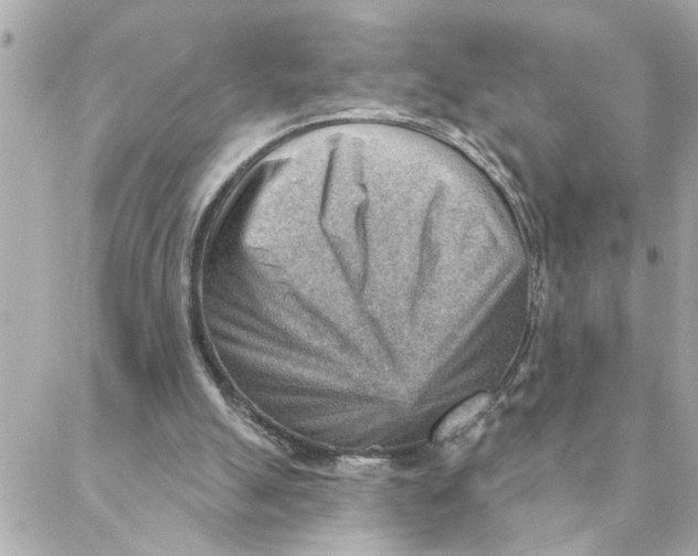 X0000088160055200706051101