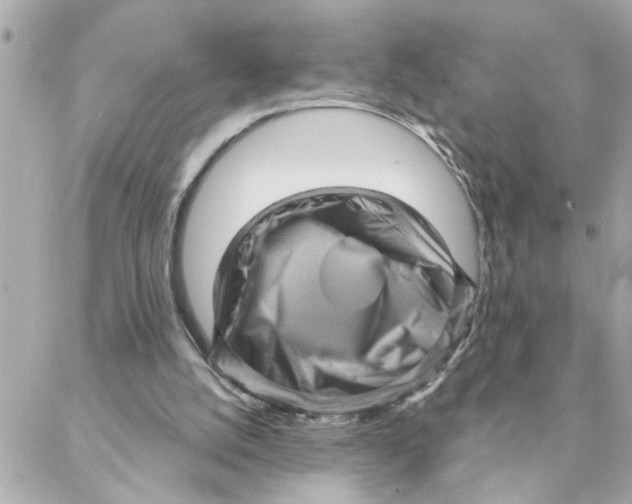 X0000088160056200706051101