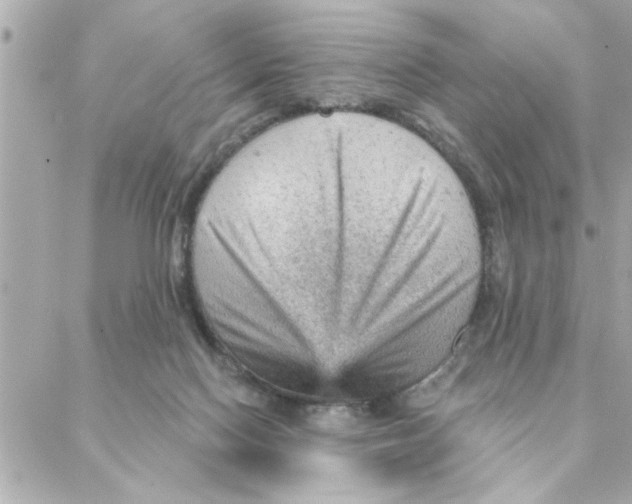 X0000088160074200706051102