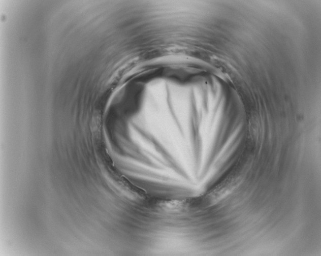 X0000088160092200706051102