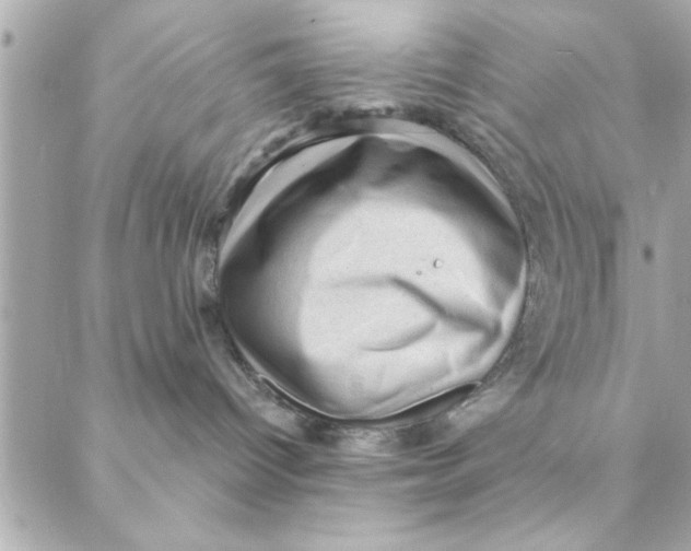 X0000088160096200706051102
