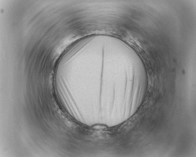 X0000088160098200706051101