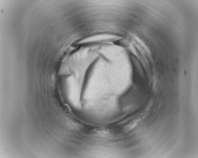 X0000088160113200706051101