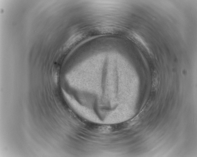 X0000088160124200706051101
