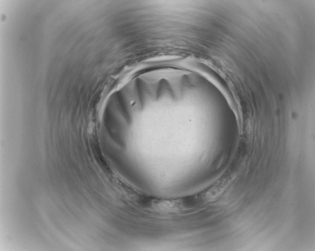 X0000088160129200706051101