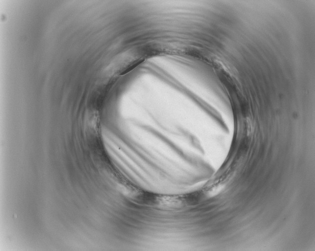 X0000088160141200706051101
