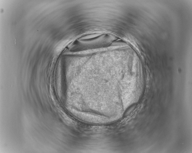 X0000088160145200706051100