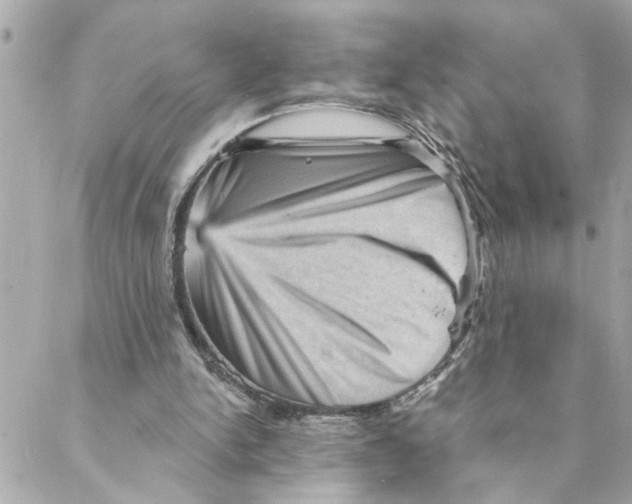 X0000088160150200706051100