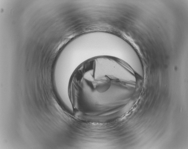 X0000088160154200706051100