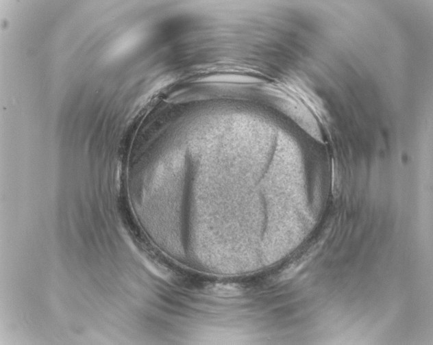 X0000088160157200706051100