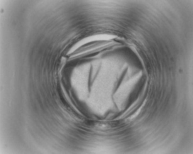 X0000088160174200706051100