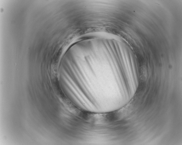 X0000088160184200706051100