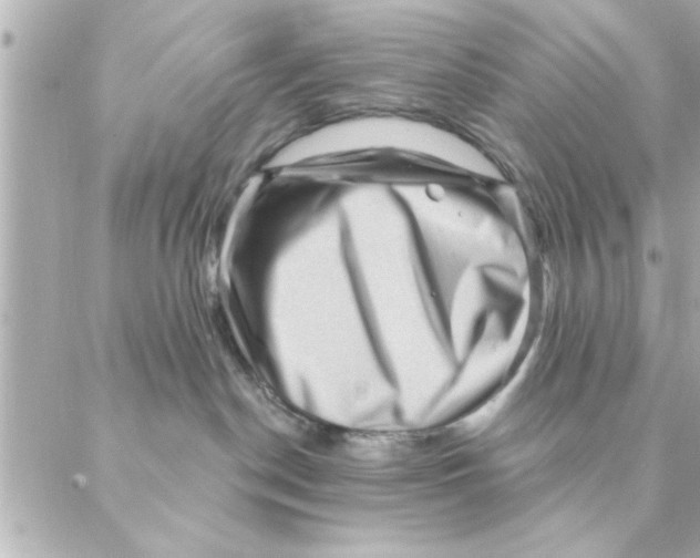 X0000088160190200706051101