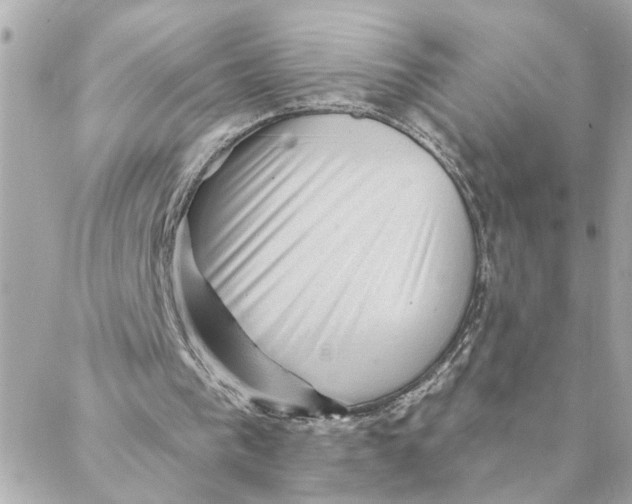 X0000088160193200706051100