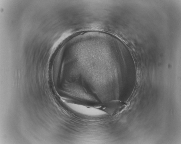 X0000088160200200706051100